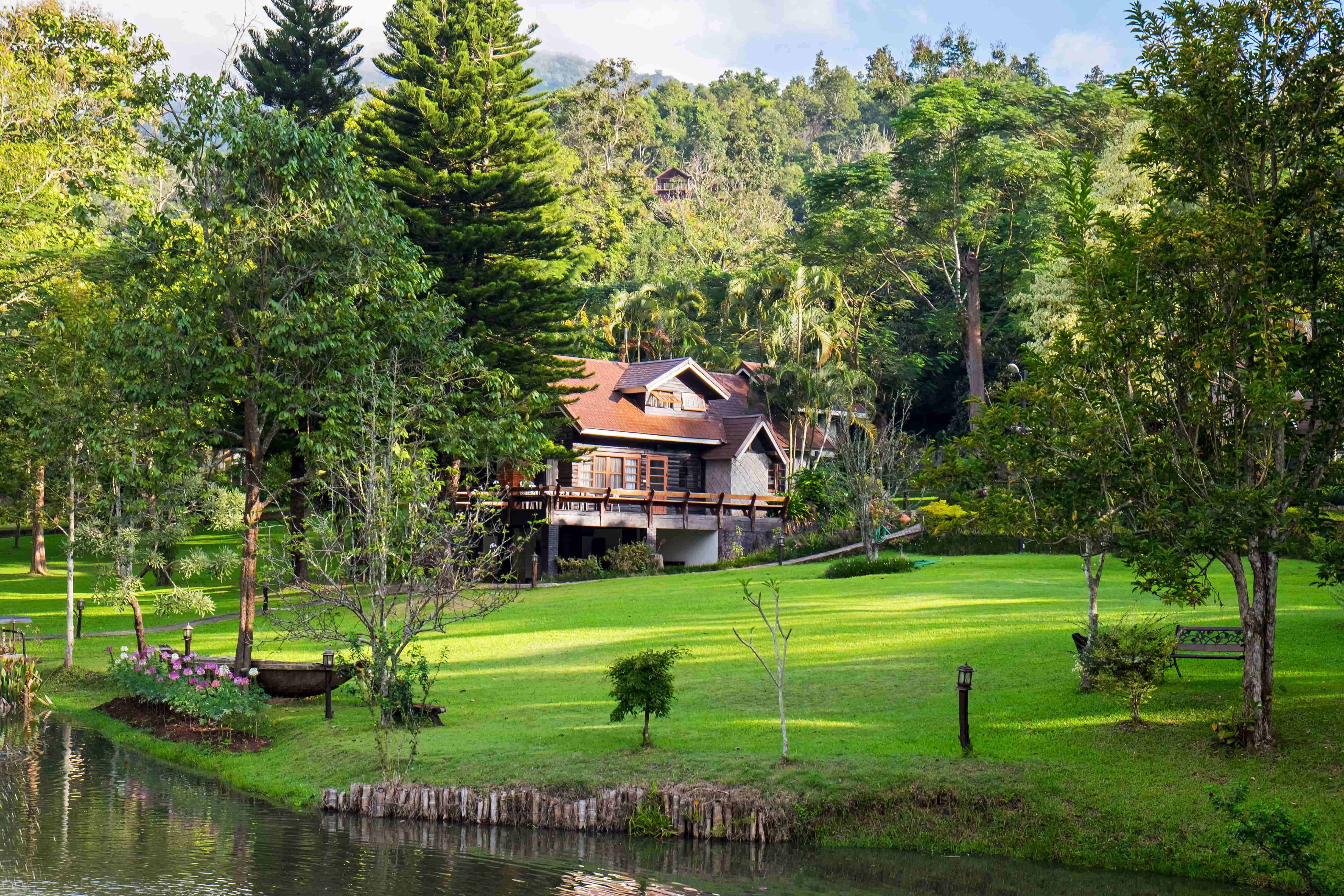 Luxury eco-friendly hillside home surrounded by lush greenery